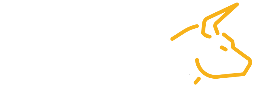 Rines Industriales en México | Soluciones a la Medida – Grupo Tabros
